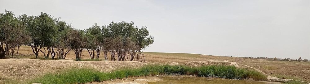 Water scarcity and environmental stress are exacerbating conflict dynamics in Iraq.