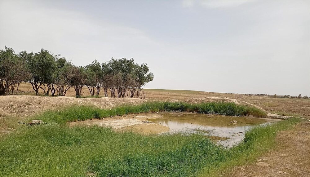 Water scarcity and environmental stress are exacerbating conflict dynamics in Iraq.