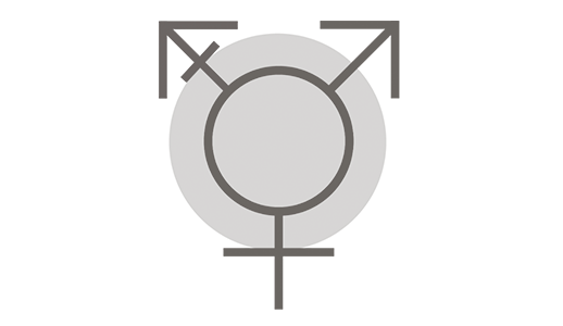 Theme Image